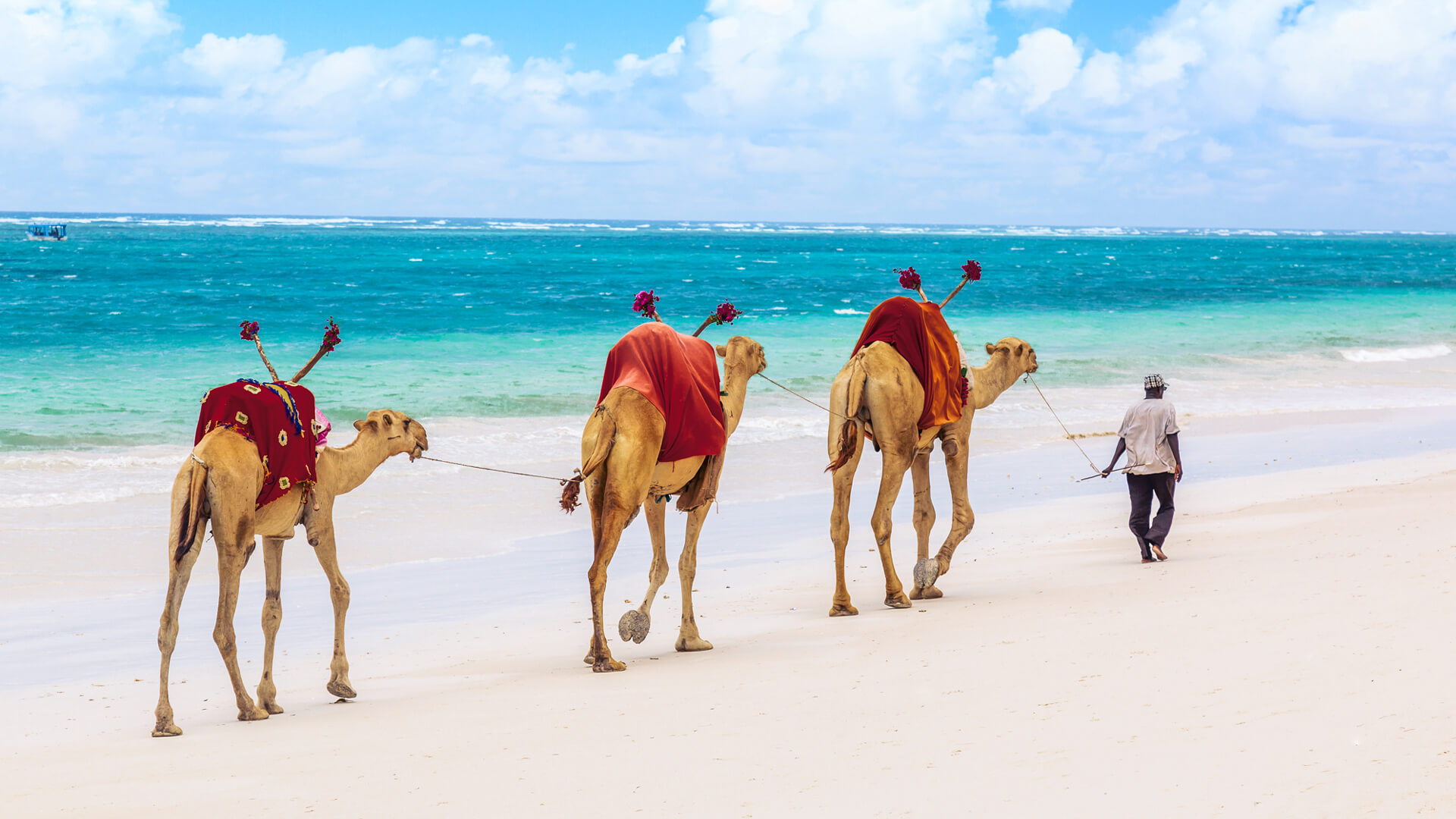 Kenya Safari & Beach